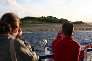 Donegal Bay Boat Trip, Ireland, 2006 by Jon Wade